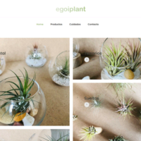 egoiplants